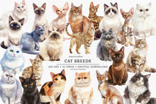 Load image into Gallery viewer, Cat Breeds Clipart Collection