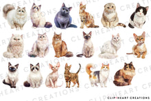 Load image into Gallery viewer, Cat Breeds Clipart Collection