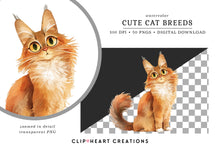 Load image into Gallery viewer, Cute Cat Breeds Clipart Collection