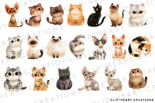 Load image into Gallery viewer, Cute Cat Breeds Clipart Collection