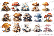 Load image into Gallery viewer, Mushroom Watercolor Clipart Set