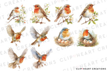 Load image into Gallery viewer, Robin Clipart Collection