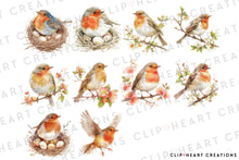 Load image into Gallery viewer, Robin Clipart Collection