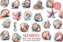 Load image into Gallery viewer, Seashells Watercolor Clipart Set