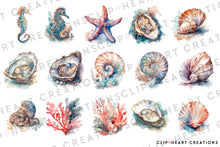 Load image into Gallery viewer, Seashells Watercolor Clipart Set