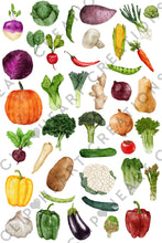Load image into Gallery viewer, Watercolor Vegetables Clip Art
