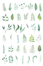 Load image into Gallery viewer, Watercolor Ferns Clip Art