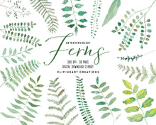 Load image into Gallery viewer, Watercolor Ferns Clip Art