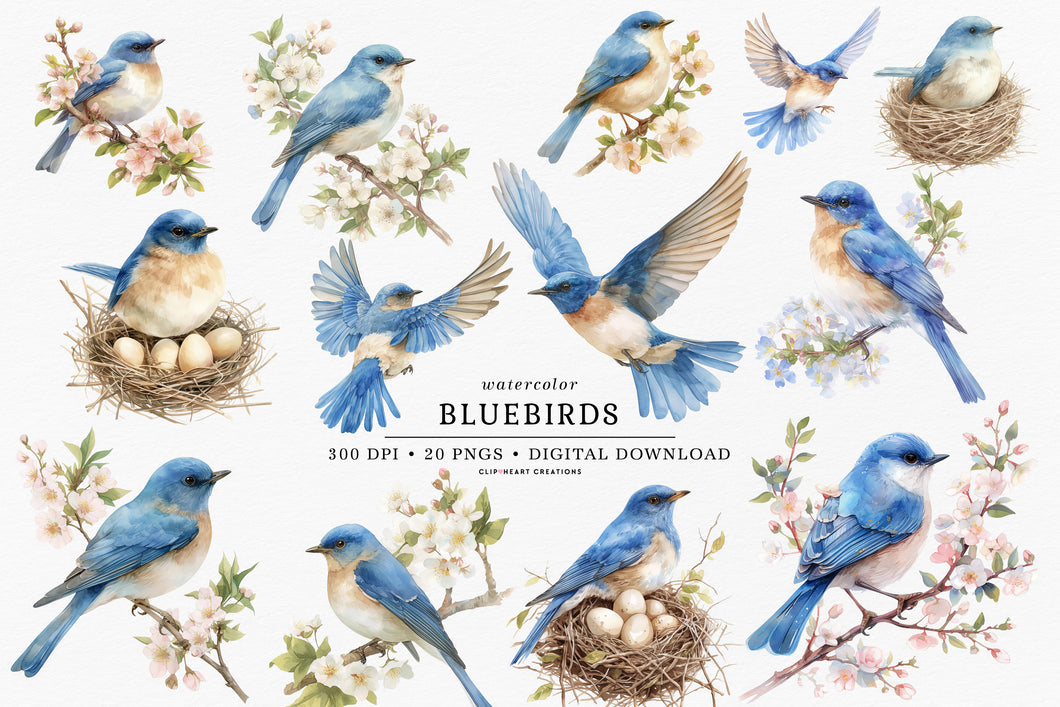 Bluebird Clipart Collection