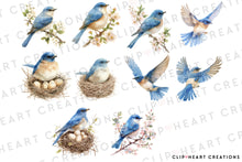 Load image into Gallery viewer, Bluebird Clipart Collection
