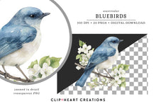 Load image into Gallery viewer, Bluebird Clipart Collection
