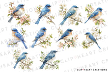 Load image into Gallery viewer, Bluebird Clipart Collection
