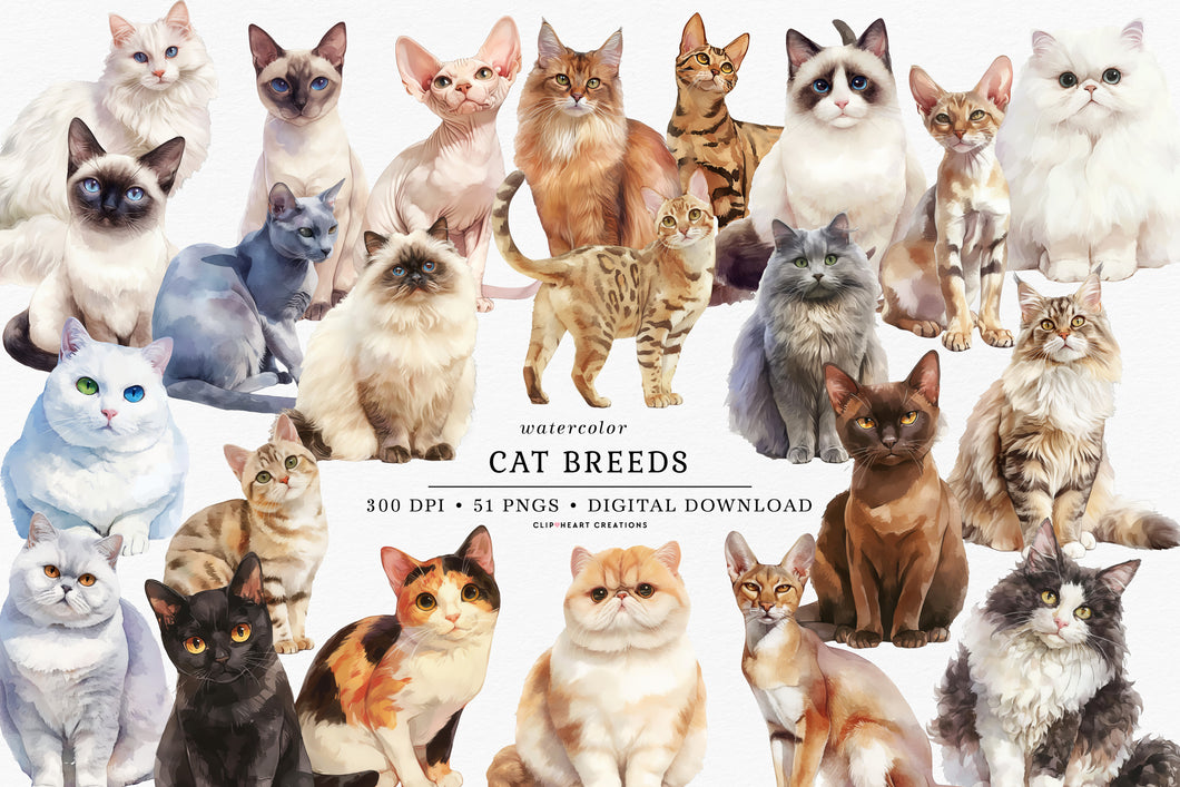 Cat Breeds Clipart Collection