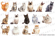 Load image into Gallery viewer, Cat Breeds Clipart Collection
