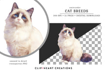 Load image into Gallery viewer, Cat Breeds Clipart Collection
