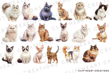 Load image into Gallery viewer, Cat Breeds Clipart Collection
