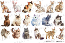 Load image into Gallery viewer, Cat Breeds Clipart Collection
