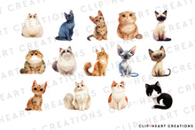 Load image into Gallery viewer, Cute Cat Breeds Clipart Collection
