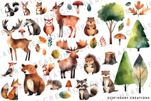 Load image into Gallery viewer, In the Forest Clip Art Watercolor Set
