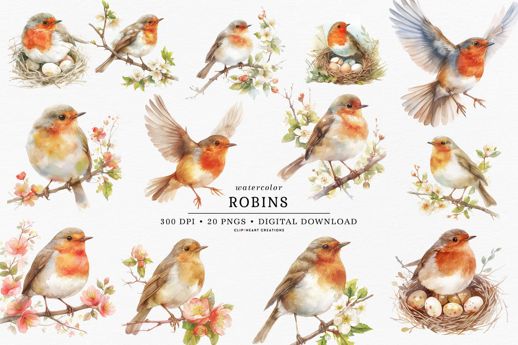 Robin Clipart Collection