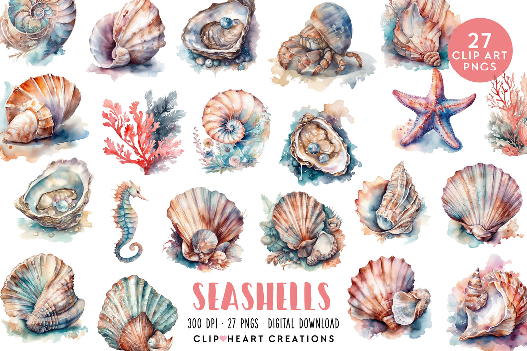 Seashells Watercolor Clipart Set