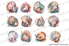 Load image into Gallery viewer, Seashells Watercolor Clipart Set
