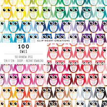 Load image into Gallery viewer, 100 Owl Pattern Digital Papers
