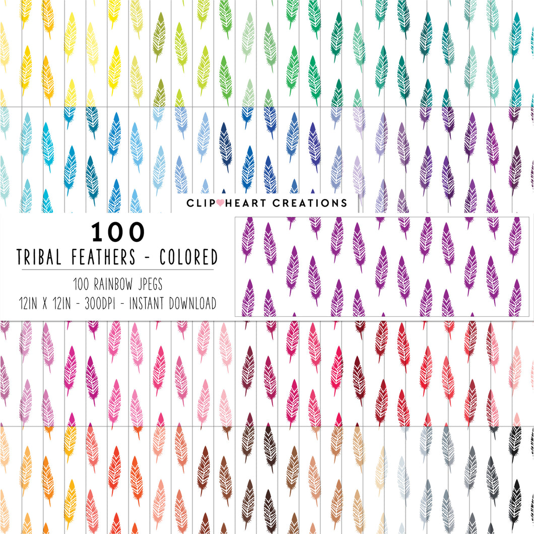 100 Tribal Feather Pattern Digital Papers (Color)