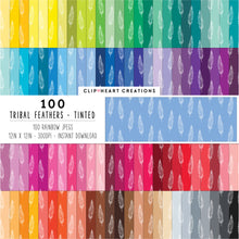 Load image into Gallery viewer, 100 Tribal Feather Pattern Digital Papers (Tinted)
