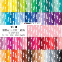 Load image into Gallery viewer, 100 Tribal Feather Pattern Digital Papers (White)
