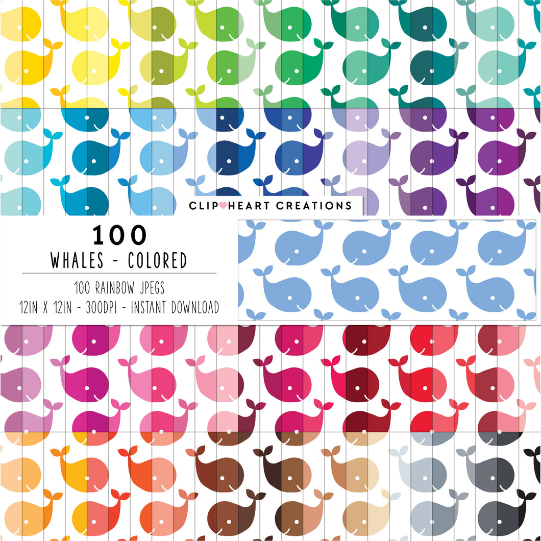 100 Whale Pattern Digital Papers (Color)